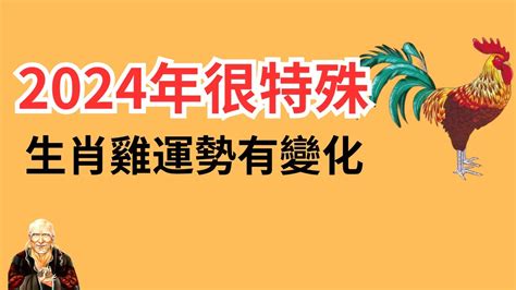 雞顏色|雞年開運色：2024年必備指南